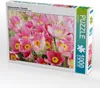 CALVENDO Puzzle Küchenschellen, Pulsatilla | 1000 Teile Produktbild-Vorschau 1