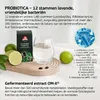 Dr.OHHIRA STANDARD – Japanse probiotica en synbioticum OM-X Productafbeelding-voorbeeld 5