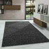 A modern living room with a dark gray rug in the foreground, a window with a view of a garden and hammock in the background, and shelves and a cabinet on the wall. Produktbild-Vorschau