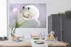 MuchoWow® Poster Lilie - Frosch - Blume 180x120 cm - Produktbild-Vorschau 3