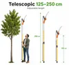 Teleskop Astschere mit Säge 2 in 1 – Baumschere mit Produktbild-Vorschau 1