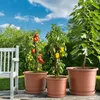 Plastard Blumentopf Terra Ø 46 cm mit Untersetzer Produktbild-Vorschau 6