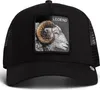 GOORIN Cappellino Trucker Unisex - Cappellino, Patch Anteprima dell’immagine prodotto 1