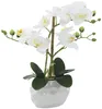 Kunst-Pflanze Orchidee ovaler Topf weiß hochglanz und weiße Produktbild-Vorschau 3