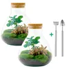 Flaschengarten Set – Sammie Coffea – DIY Terrarium – 26 cm Produktbild-Vorschau 4