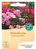 Artikelbild 2 von 'BIO Atlasblume' aus der Kategorie Blumensamen Podgląd zdjęcia produktu