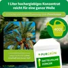 Purgrün nawóz do palm daktylowych 1 litr Podgląd zdjęcia produktu 4
