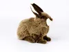 Kösen Kaninchen sitzend 25 cm Kuscheltier Hase Produktbild-Vorschau 6