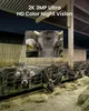 Cows in a barn, with a close-up inset of a cow's face. Náhled obrázku produktu