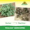 Neudorff Finalsan GierschFrei 1L Konzentrat für 180 m² - Produktbild-Vorschau 5