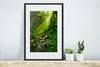 MuchoWow® Gerahmtes Poster Dschungel - Wasser - Laub - Produktbild-Vorschau 4
