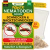 Green Guardia Nematoden gegen Nacktschnecken – 10 Mio. für Produktbild-Vorschau 1