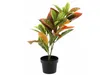 Umělá listnatá rostlina v květináči Ficus, 58 cm Náhled obrázku produktu 3