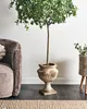 A decorative potted plant in a vintage-style pot, placed indoors next to a chair and rug. Produktbild-Vorschau