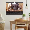 Faszination Jagdhund - Kleiner Münsterländer (Wandkalender Produktbild-Vorschau 3
