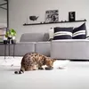 District 70 Gamelle pour chat en bambou gris 12 x 12 x 2,8 Voir les images du produit 3
