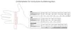Driving Halbfinger Fingerlose Autofahrer-Handschuhe Produktbild-Vorschau 8