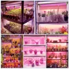 54CM UV Grow Lamp Plant Lamp Led Full Spectrum Grow Light Podgląd zdjęcia produktu 5