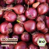 Samenliebe  Zwiebel Samen | Tropea Rossa Tonda - rote & Produktbild-Vorschau 4