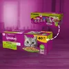WHISKAS Mix Favoritos en gelatina: alimento húmedo para Vista previa de la imagen del producto 3