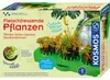 Kosmos 63213, Rozšírená realita, 8 rok / roky, Viacfarebný Náhľad obrázku produktu 1