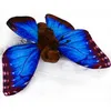 Schmetterling Kuscheltier Falter Blauer Morphofalter Insekt Produktbild-Vorschau 3
