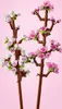 LEGO® Botanicals 40725 Kwiaty wiśni Podgląd zdjęcia produktu 23
