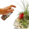 Hnojivo pro tillandsie – hotová směs ve spreji – 80 ml Náhled obrázku produktu 3