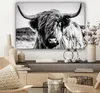 OneMillionCanvasses® - Obrazy na plátně - Kráva - Skotský Náhled obrázku produktu 7