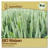 Samenliebe  Weizen Samen | Winterweizen - winterhart - Produktbild-Vorschau 1