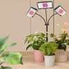 Lampa Roślinna Lampa Kwiatowa Led Full Spectrum, 3000lm Podgląd zdjęcia produktu 9