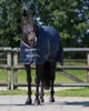 Stalldecke Start 150g Dunkelblau 145/105cm Produktbild-Vorschau 2