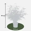 Hoogeveen Fargesia Rufa - 60 cm, Ø19 cm Voir les images du produit 6