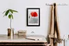 Bild 20x30 MDF-Rahmen, Wandkunst Feldmohnblumen Produktbild-Vorschau 3