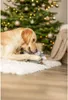 Trixie giocattolo per cani Yeti grigio Anteprima dell’immagine prodotto 3