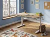 HOKO Kinderschreibtisch höhenverstellbar, 120x60 cm Kinder Produktbild-Vorschau 21