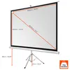celexon basic Stativ-Leinwand 110" | 200x200 cm 1:1 | Produktbild-Vorschau 2