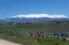Griechischer Honig - Eichenhonig 920 g - Melissotis Produktbild-Vorschau 8