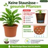 Pflanzkübel Fiona terrakotta Ø ca.18cm Produktbild-Vorschau 5