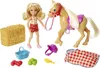 Barbie "Spaß auf dem Bauernhof" Chelsea und Pony Produktbild-Vorschau 1