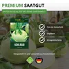 Kohlrabi Superschmelz Samen - Brassica oleracea - Produktbild-Vorschau 2