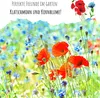 Kornblumen Samen (Centaurea cyanus) - Wunderschön Produktbild-Vorschau 4