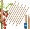 KOTARBAU® 10 szt. Paliki Drewniane do Pomidorów Warzyw 30 Podgląd zdjęcia produktu 1