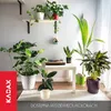Plastový květináč KADAX "Amily", květináč s podšálkem. Náhled obrázku produktu 5