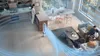 Dyson Purifier Cool - TP10 Weiß Produktbild-Vorschau 19