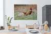 OneMillionCanvasses® - Obrazy na plátně - 140x90 cm, Bažant Náhled obrázku produktu 5