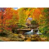 Puzzle 1000 pièces Magical Autumn 104918 Castorland Voir les images du produit 2