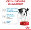 ROYAL CANIN SHN Mini Puppy in Sauce - Nassfutter für Welpen Podgląd zdjęcia produktu 7