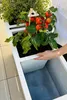 VIVANNO Raumteiler Fiberglas ELEMENTO auf Rollen Kasten, Produktbild-Vorschau 6