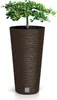 A potted plant in a tall, textured brown planter. Anteprima dell’immagine prodotto